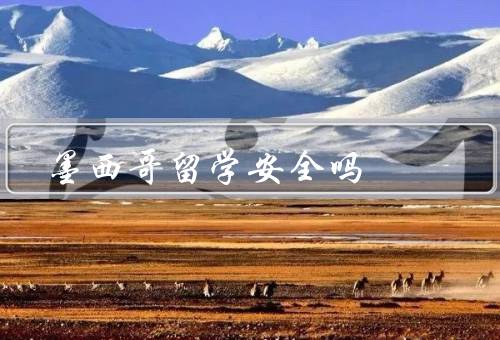 墨西哥留学安全吗（治安情况、留学安全保障、留学生自身安全意识）