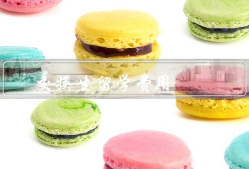 俄罗斯交换生留学费用（构成、俄罗斯优势、补助与减免）