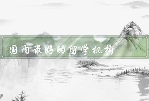 国内最好的留学机构，服务质量卓越／丰富的资源和合作伙伴