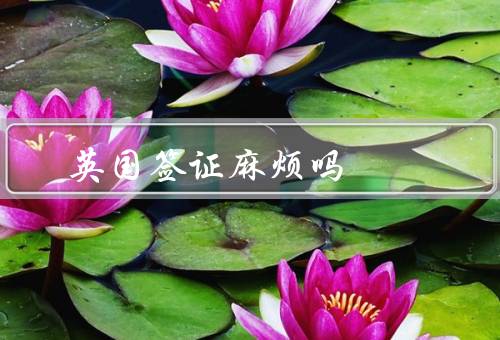 英国签证麻烦吗（申请材料、申请流程、拒签风险）