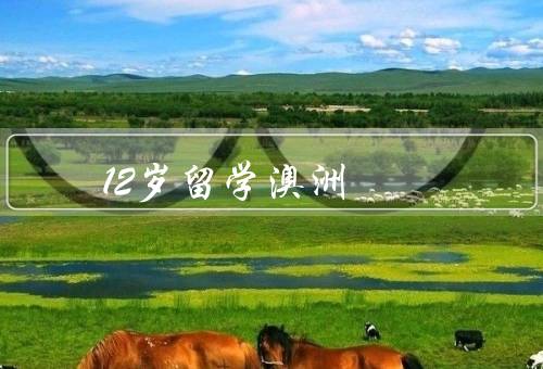 12岁留学澳洲（学习生活、文化交流、语言能力）