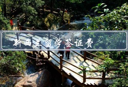 新西兰留学签证费（新西兰留学签证费的收费标准）