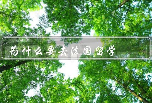 为什么要去法国留学（学术优势、多样化的文化体验、语言优势）