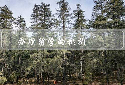 办理留学的机构（优势／选择合适／费用）