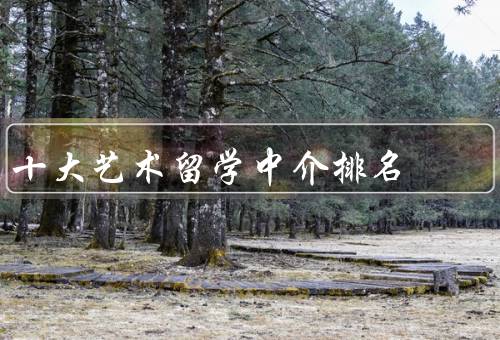 十大艺术留学中介排名，新东方、留学360、教育部留学服务中心