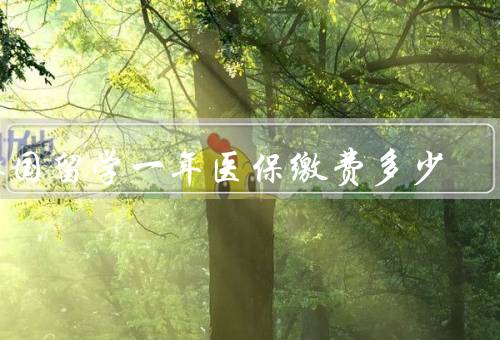 英国留学一年医保缴费多少，学生签证／非学生签证／其他注意事项