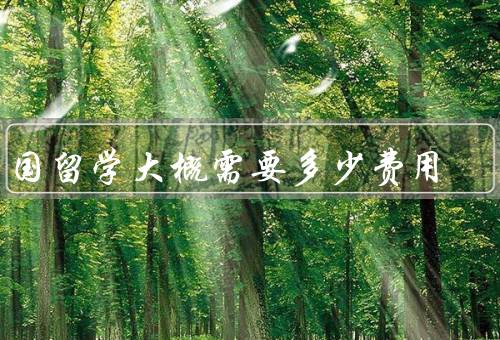 出国留学大概需要多少费用（留学费用、签证费用、其他费用）
