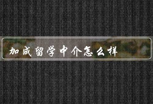 加成留学中介怎么样