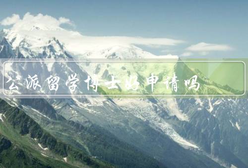 公派留学博士好申请吗，提供更广阔的学术平台／提升个人学术水平