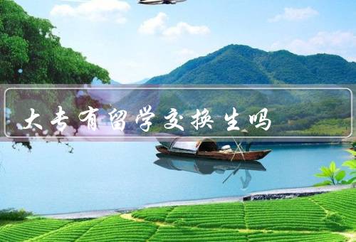大专有留学交换生吗（是否有留学交换生项目／参与留学交换的意义）