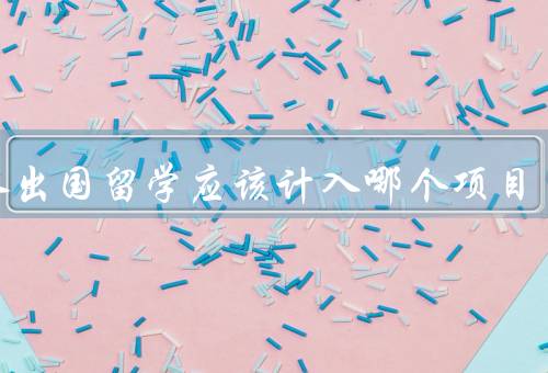 个人出国留学应该计入哪个项目（重要性、国家项目的优势）