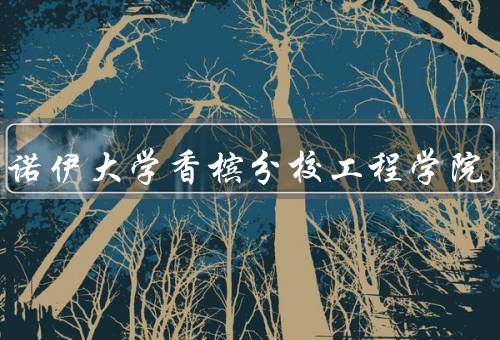 伊利诺伊大学香槟分校工程学院（学院背景、师资力量、学术资源）