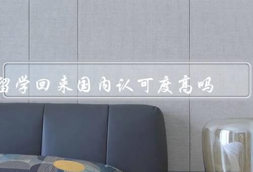 俄罗斯留学回来国内认可度高吗，留学经历的独特性／教育质量的认可