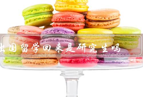 出国留学回来是研究生吗，就业竞争力、个人发展、学术深造