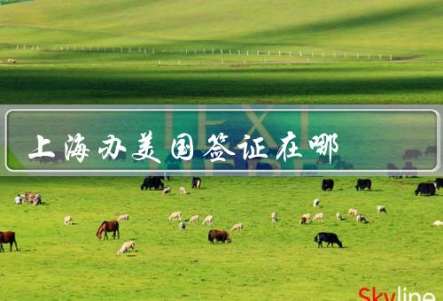上海办美国签证在哪（办理地点、注意事项、总结）