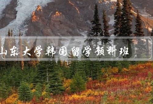 山东大学韩国留学预科班，韩国留学预科班／学习资源与环境