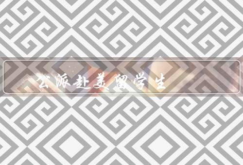 公派赴美留学生，留学生活的优势／面临的挑战／对个人发展的影响