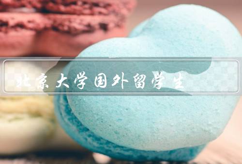 北京大学国外留学生（数量／生活／经历）