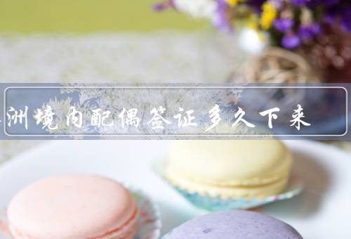 澳洲境内配偶签证多久下来，审理时间／材料准备／移民局工作负荷