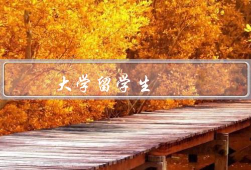 人民大学留学生，环境、资源、学术交流