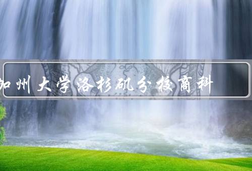 加州大学洛杉矶分校商科（学科设置、教学质量、就业机会）