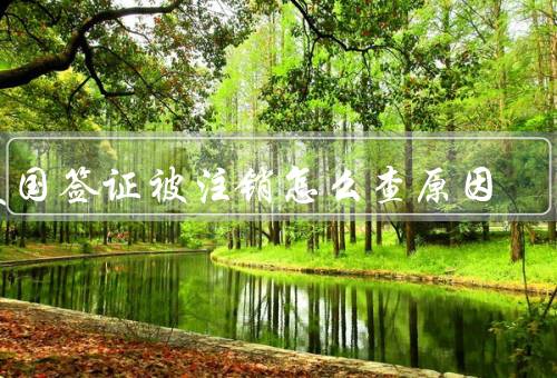 美国签证被注销怎么查原因，签证官面谈／查询系统／咨询律师