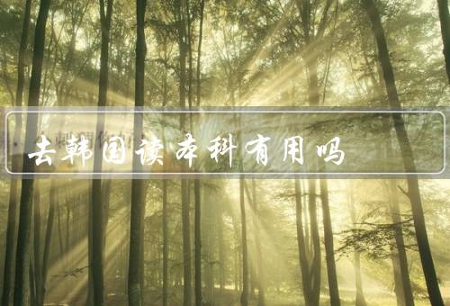 去韩国读本科有用吗，学术水平、文化交流、就业前景