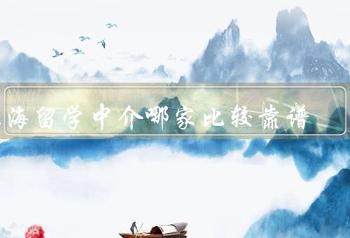 上海留学中介哪家比较靠谱，维思教育／环球雅思／留学e网