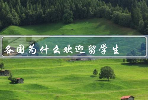 各国为什么欢迎留学生，国际交流与合作／促进经济发展