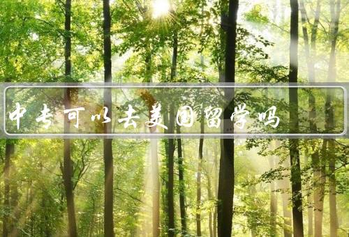 中专可以去美国留学吗（中专学历是否符合留学要求）