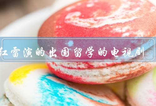 孙红雷演的出国留学的电视剧，留学生活／文化冲击与交流