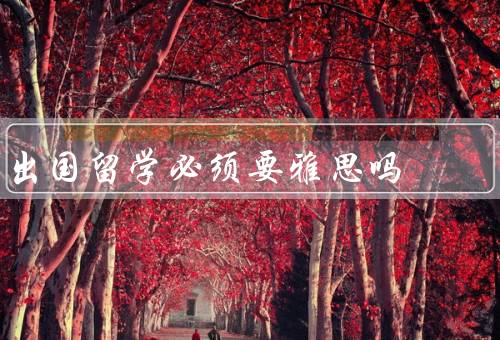 出国留学必须要雅思吗，雅思考试的作用／其他语言能力测试