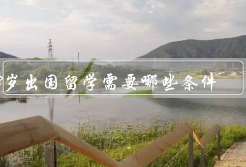 13岁出国留学需要哪些条件，学习能力／独立生活能力／适应能力