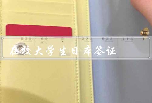 在校大学生日本签证（签证类型、申请材料、申请流程）