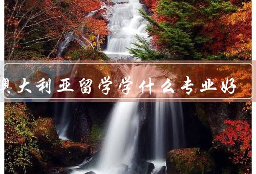 去澳大利亚留学学什么专业好（商科、工程、医学与健康科学）