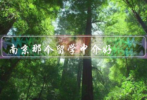 南京那个留学中介好，专业服务／丰富资源／良好口碑