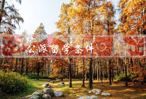 国家公派留学条件，条件／流程／奖学金和待遇