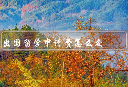 出国留学申请费怎么交（支付方式、金额和规定、时间安排）