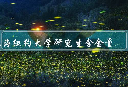 上海纽约大学研究生含金量，教师团队／课程设置／学术研究