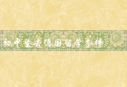 初中生去德国留学条件（德语基础／学业成绩／财力支持）
