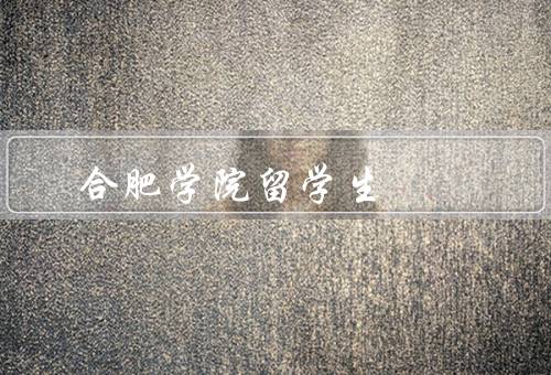 合肥学院留学生，数量／学习情况／生活情况
