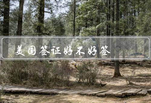 美国签证好不好签，类型、个人情况、办理流程