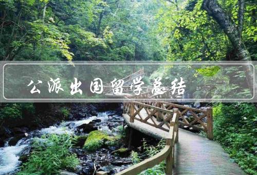 公派出国留学总结，学术研究／国际视野／个人成长