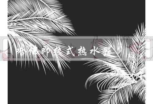 哈佛即热式热水器，智能控温技术、即热式设计、安全稳定