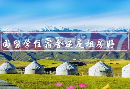 出国留学住宿舍还是租房好，经济、便利性、社交性