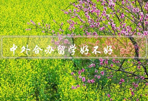 中外合办留学好不好（提供多元化的学术资源、增强语言沟通能力）