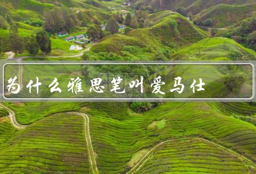 为什么雅思笔叫爱马仕（外观设计独特、制作工艺精湛）