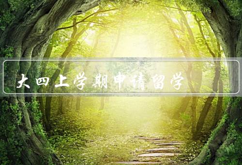 大四上学期申请留学，了解留学申请流程、准备申请材料