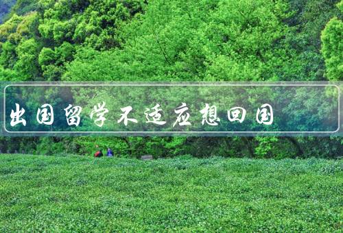 出国留学不适应想回国，语言障碍、文化差异、家乡思念