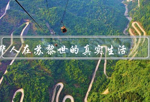 华人在苏黎世的真实生活（华人社区／工作与生活／文化传承与交流）